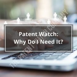 Patent Watch Need