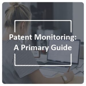 Patent Monitoring A Primary Guide