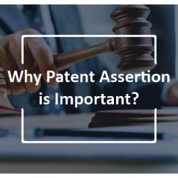 Why Patent Assertion is Important
