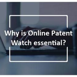 Why is Online Patent Watch essential